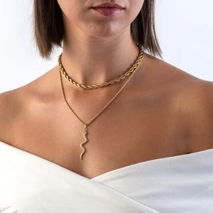 Snake Pendant Rope Chain Necklace